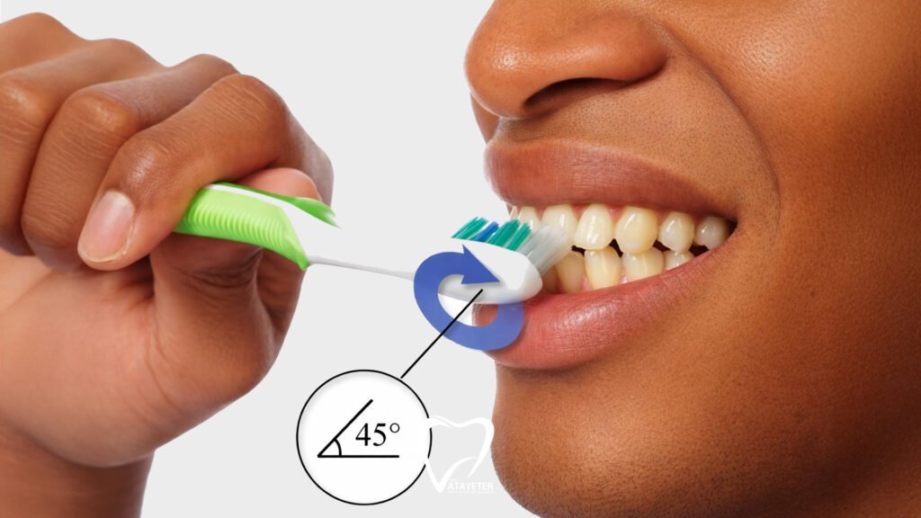 Proper Tooth Brushing